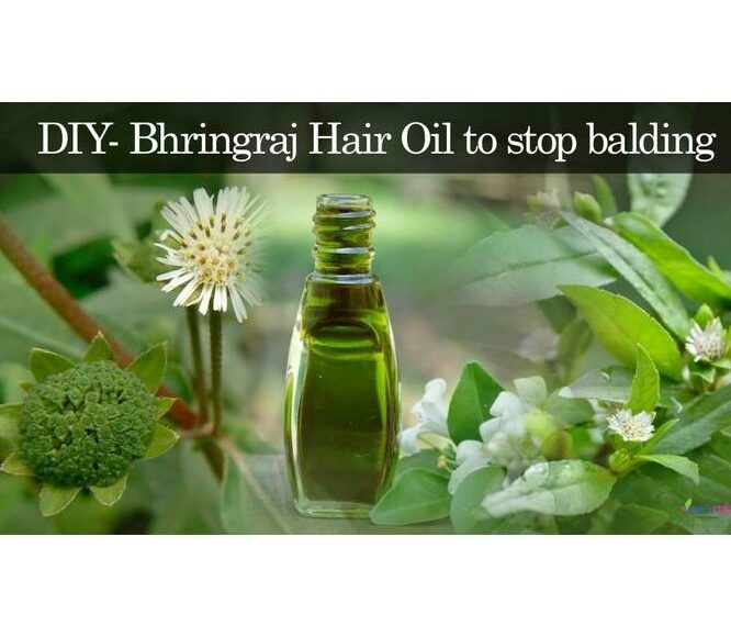 Hair Regrowth Oil | Anti-baldness Oil | Bhringaraj Hair Oil Preparation at Home – DIY