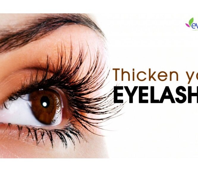 Evescafe | Grow Thicker Eyelashes Naturally