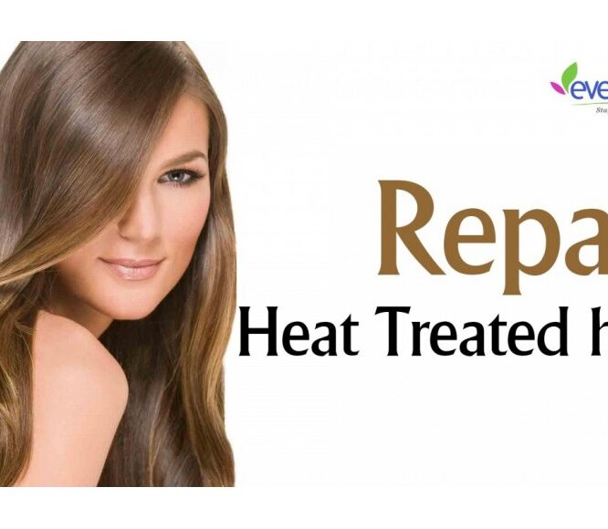How to Repair Damaged hair | Hair breakage – Home Remedies