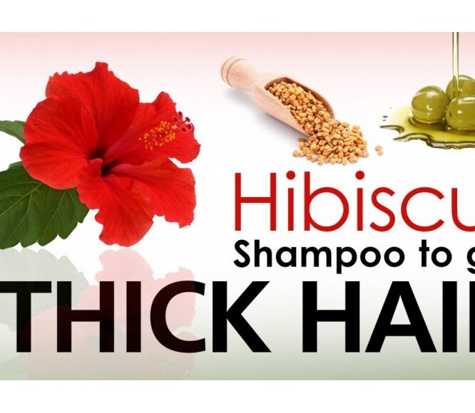 Evescafe | Home Made Hibiscus Shampoo for Dark, Long and Shiny Hair