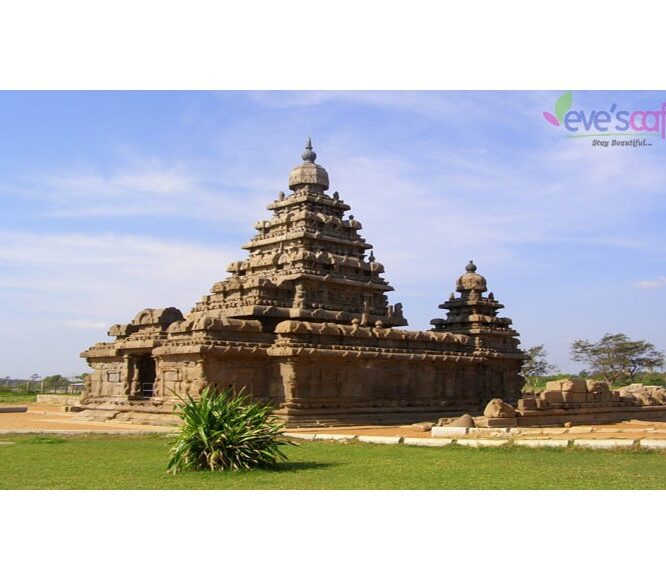 Evescafe | Mamallapuram